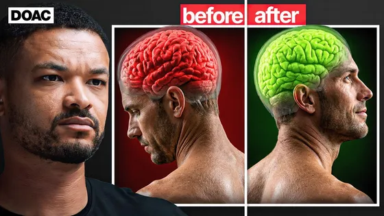 Creatine researcher Stuart Phillips says adding 5 grams of creatine to antidepressants doubled remission rates in women with major depression over 8 weeks